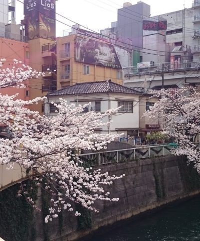 照片_移居網站_210612_6